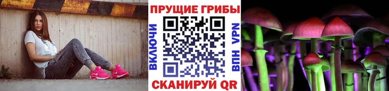 Псилоцибиновые грибы мицелий  Купить закладки  Избербаш 